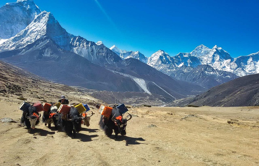 Most Popular Trekking and Peak Climbing In Nepal