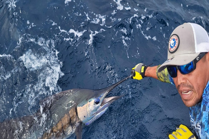 Everything You Need to Know About Costa Rica Sportfishing