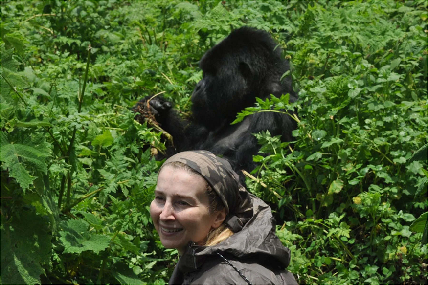 Complete Uganda National Parks Guide for Wildlife Lovers